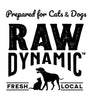 Raw Dynamic Logo